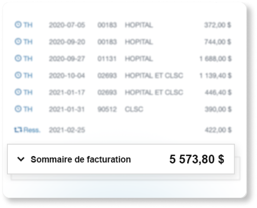 Capture d'écran montrant un sommaire de facturation